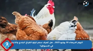 اليوم الأربعاء 30 يوليو 2025.. هل تعرف سعر كيلو الفراخ البلدي والألبان في الأسواق؟